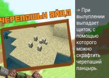 Черепашьи яйца в Minecraft PE 1.5