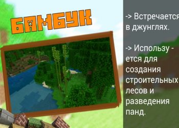 Бамбук в Minecraft PE 1.8
