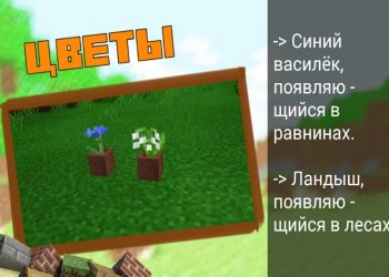 Василёк и ландыш в Майнкрафт 1.9