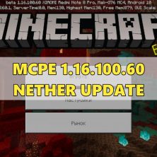 Скачать Minecraft PE 1.16.100.60