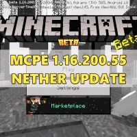 Скачать Minecraft PE 1.16.200.55