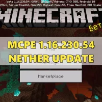 Скачать Minecraft PE 1.16.230.54