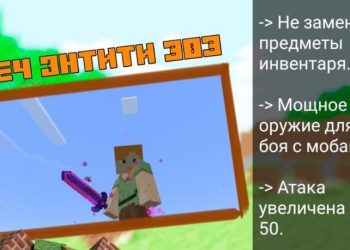 Меч Энтити 303