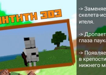 Энтити 303