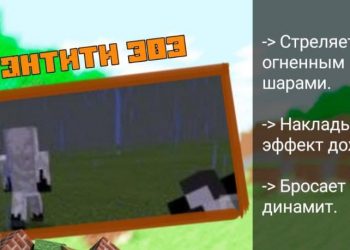 Энтити 303