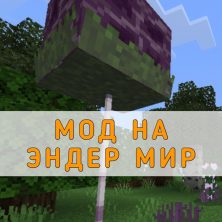 Скачать мод на Эндер Мир на Minecraft PE