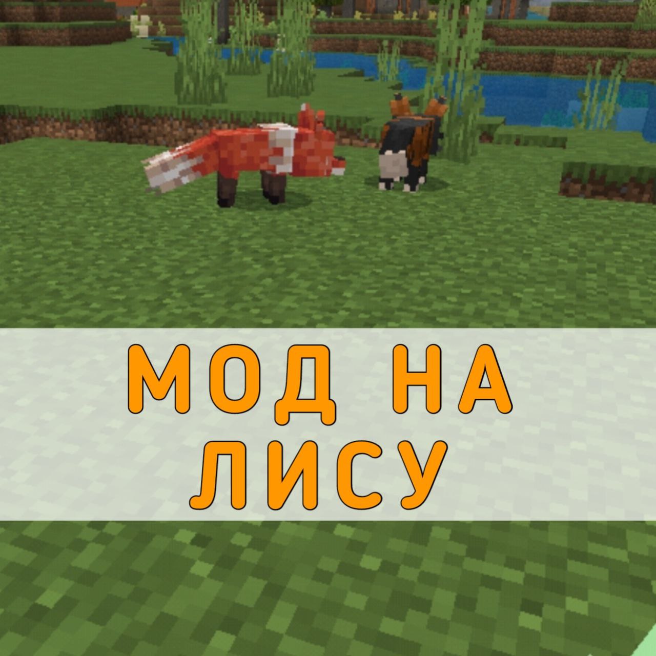 Скачать Мод на Лису на Майнкрафт ПЕ – Мод на Лису на Minecraft PE на Андроид