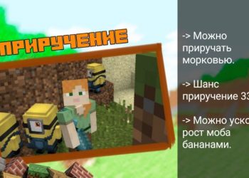 Приручение из Мода на Миньонов для Майнкрафт ПЕ