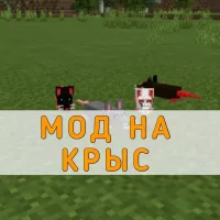 Скачать Мод на Крыс на Minecraft PE