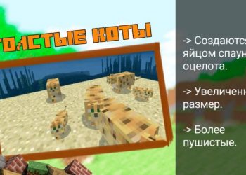 Толстые коты из Мода на Кошек для Майнкрафт ПЕ