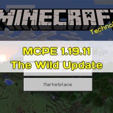 Скачать Minecraft 1.19.11