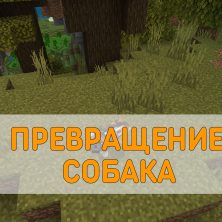 Скачать Мод на Превращение в Собак на Minecraft PE