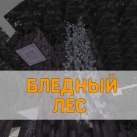 Скачать Карту Бледный Лес на Minecraft PE